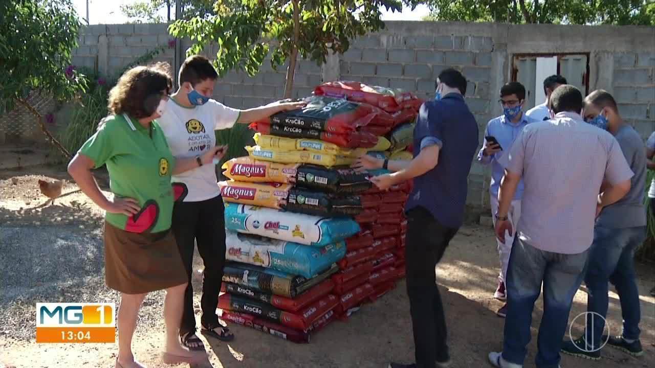 Live solidária arrecada quase três toneladas de ração e várias cestas básicas